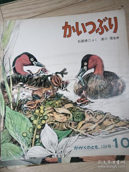 日本原版  科学绘本