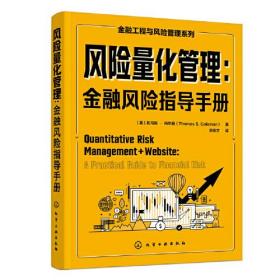 风险量化管理:金融风险指导手册