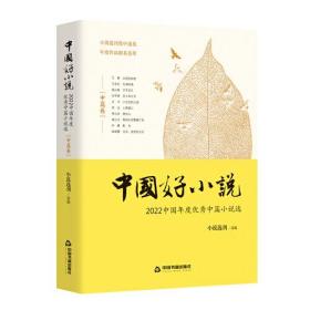 中国好小说.中篇卷:2022中国年度优秀中篇小说选