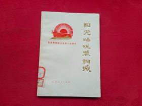 阳光灿烂照钢城