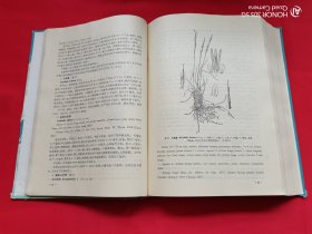 西藏植物志（第五卷）