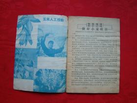 学科学 1958年第11期