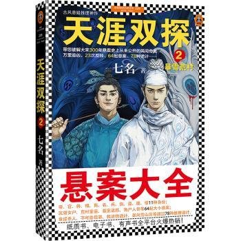 天涯双探2：暴雪荒村（带您破解大宋300年悬案史上从未公开的民间奇案）