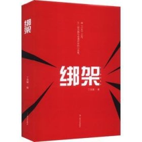 全新正版图书 绑架丁恩翼上海文艺出版社9787532188338