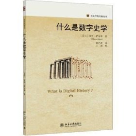 全新正版图书 什么是数字史学汉努·萨尔米北京大学出版社9787301343760