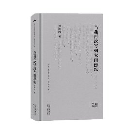 当我再次写到大雨滂沱（精装）