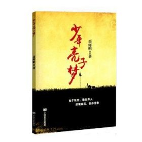 全新正版图书 少年亮子梦高辉明中国言实出版社9787517117490 中篇小说中国当代
