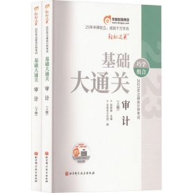 2023年注册师试基础大通关 审计(全2册) 经济考试 张敬富主编;东奥在线编 新华正版