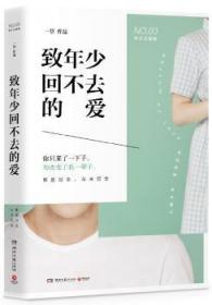 全新正版图书 致年少回不去的爱一湖南文艺出版社9787540485030 长篇小说中国当代
