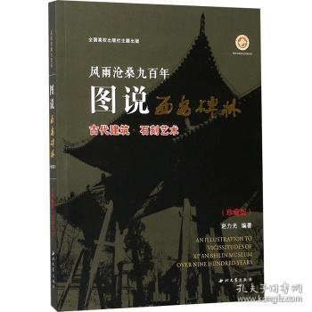 全新正版图书 风雨沧桑九:图说西安碑林:珍藏版:代建筑石刻艺术赵力光西北大学出版社9787560437958 碑刻介绍西安