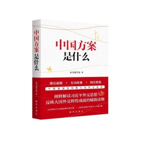 中国方案是什么