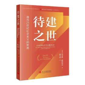 待建之世:通向21世纪社会主义的新途