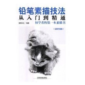 全新正版图书 铅笔素描技法从入门到精通：升级版漫果文化中国铁道出版社9787113216344 铅笔画素描技法