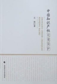 全新正版图书 中权边境保护王殊中国政法大学出版社9787562039587 知识产权法研究中国