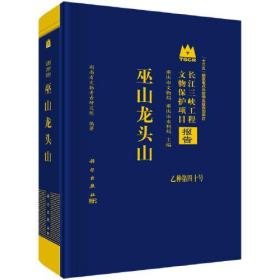 巫山龙头山(精)/长江三峡工程文物保护项目报告