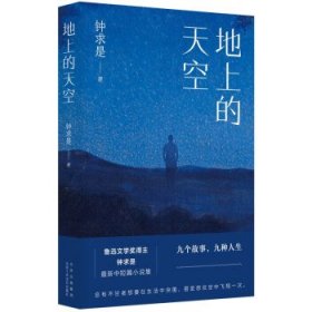 地上的天空（鲁迅文学奖得主钟求是最新中短篇小说集，人生九故事，程永新、徐则臣、班宇推荐）