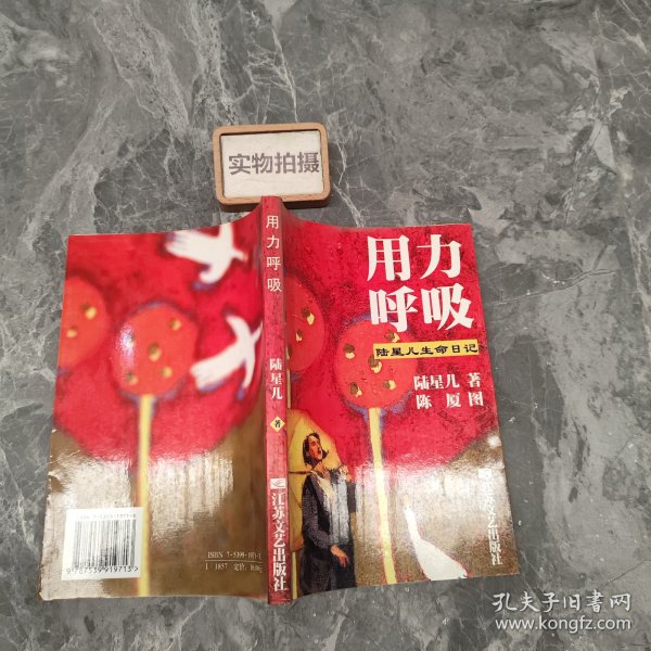 用力呼吸：陆星儿生命日记