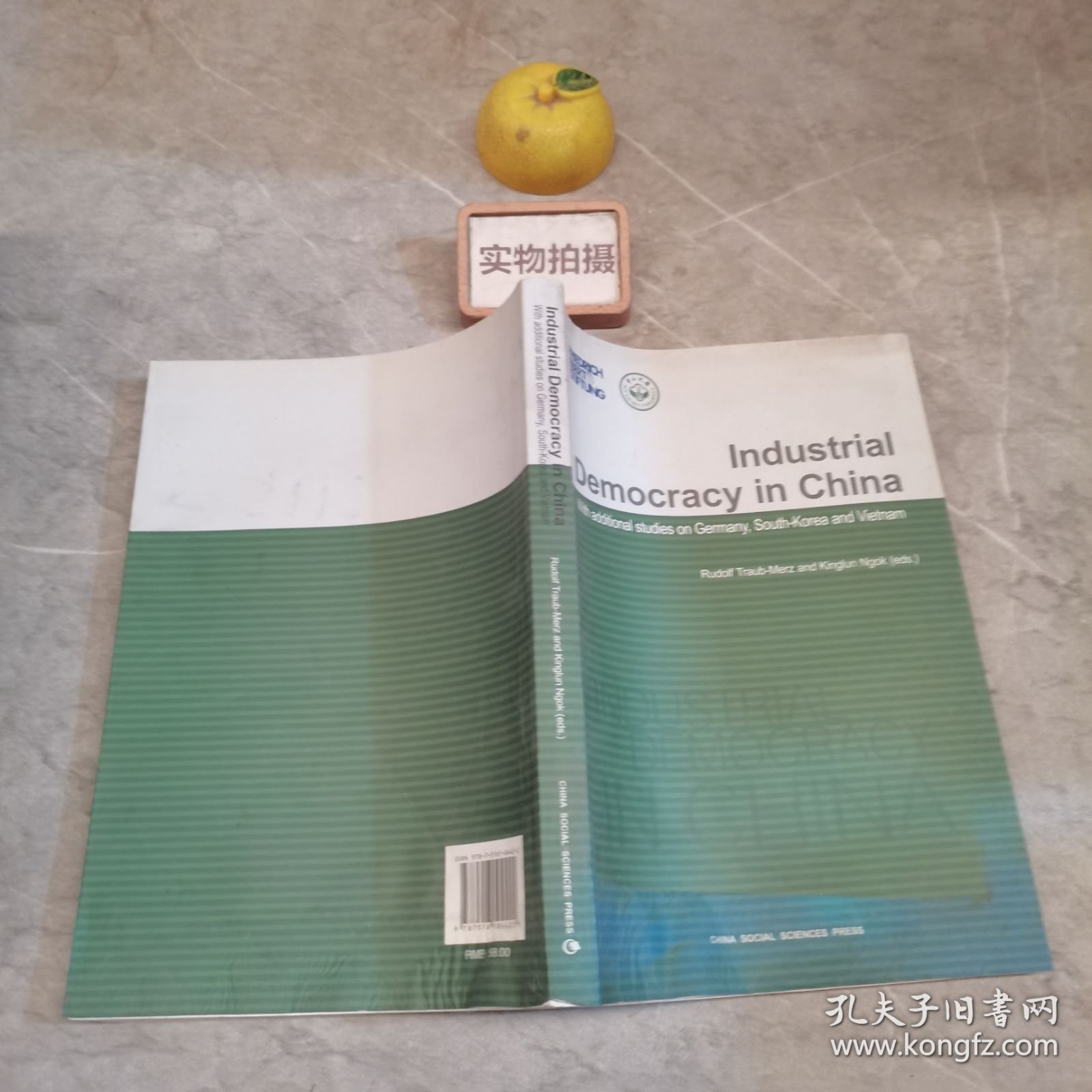 中国产业民主：兼论德国、韩国与越南（英文版）