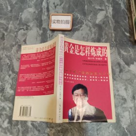 黄金是怎样炼成的：对一个成功者的鉴赏与非议