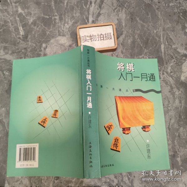 将棋入门一月通