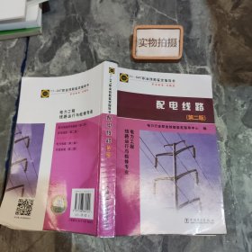 电力工程线路运行与检修专业：配电线路（第2版）