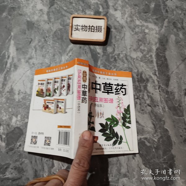 精致中草药工具丛书：常用中草药识别应用图谱（手绘本）