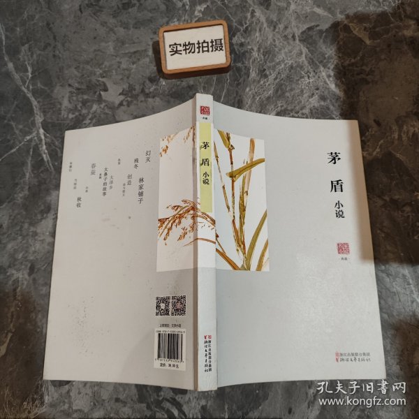 名家小说典藏：茅盾小说