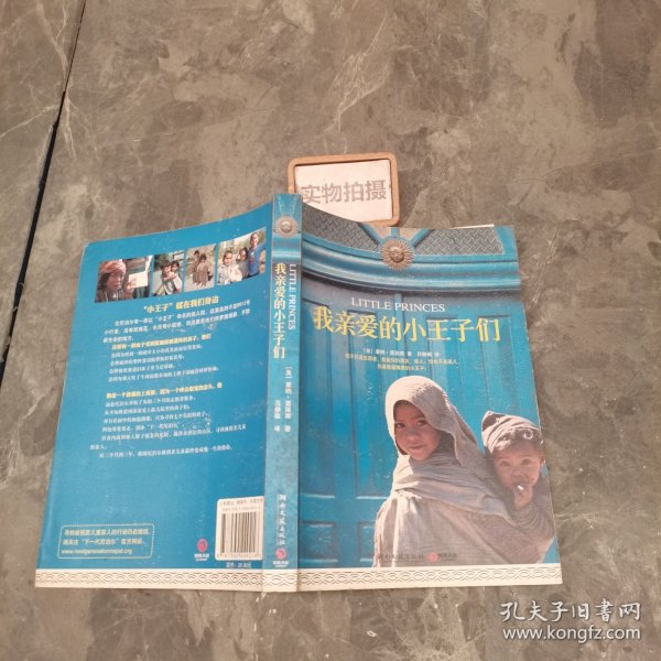 我亲爱的小王子们 9787540449216
