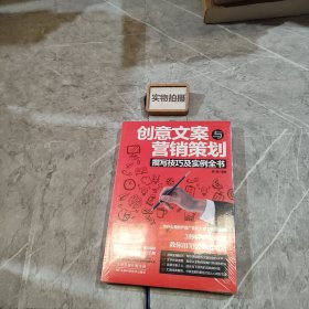 创意文案与营销策划撰写技巧及实例全书