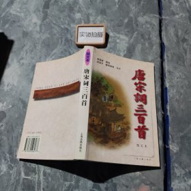 唐宋词三百首