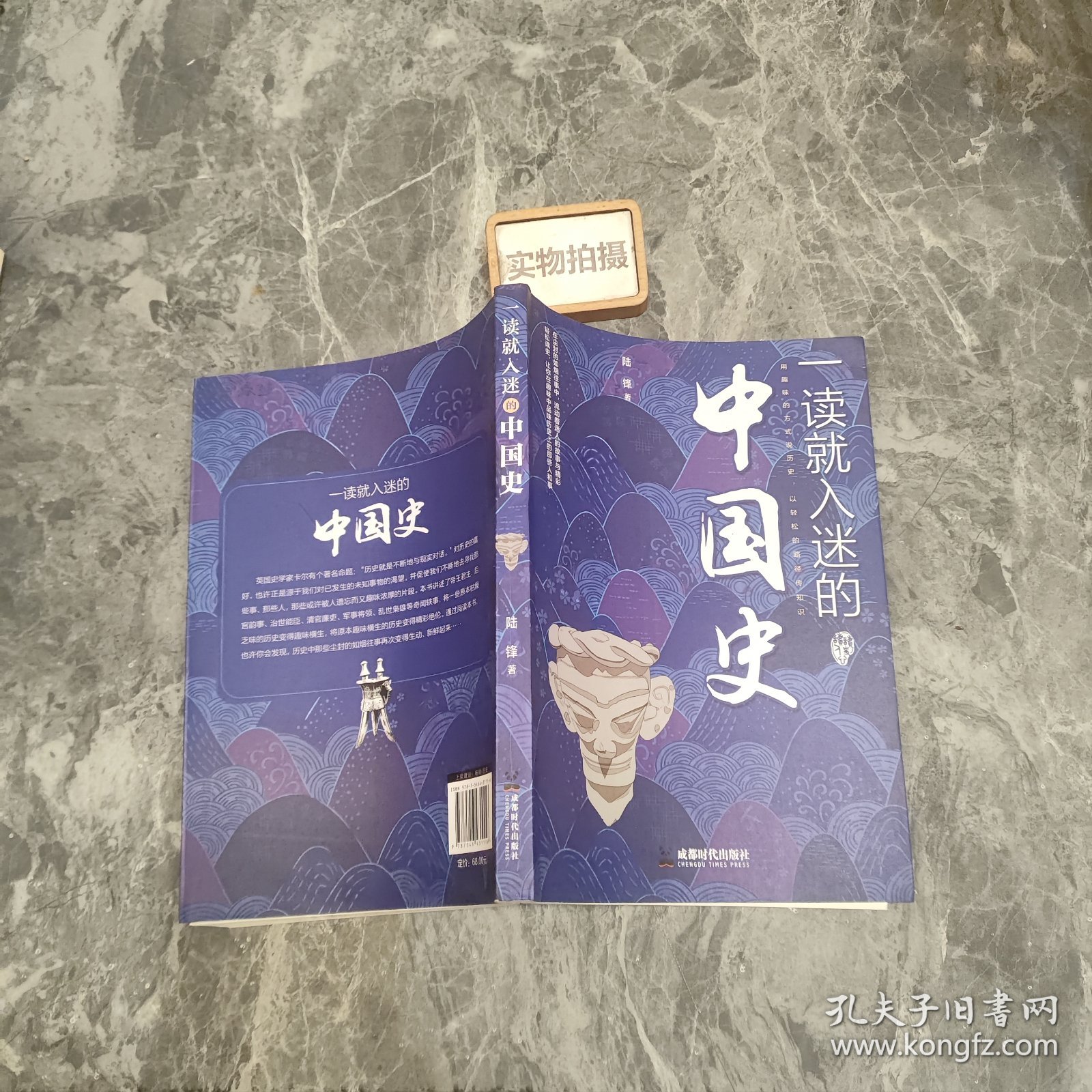 一读就入迷的中国史