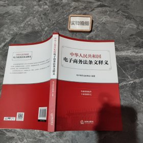 中华人民共和国电子商务法条文释义