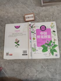 中国之美·自然生态图鉴：中国野花图鉴