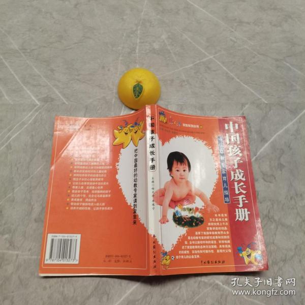 中国孩子成长手册：15位幼教专家育儿指导——15位幼教专家育儿指导——家教系列丛书①