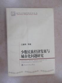 少数民族经济发展与城市化问题研究