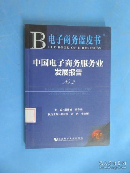 电子商务蓝皮书：中国电子商务服务业发展报告No.2（2013版）