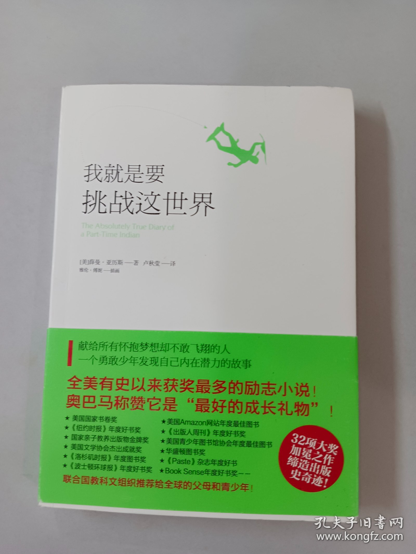 我就是要挑战这世界：献给所有怀抱梦想却不敢飞翔的人