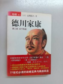 德川家康（第三部）：天下布武