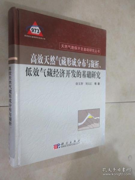 高效天然气形成分布与凝析、低效气藏经济开发的基础研究