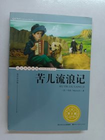 苦儿流浪记（青少版）