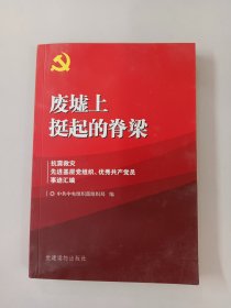 废墟上挺起的脊梁：抗震救灾先进基层党组织、优秀共产党员事迹汇编