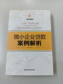 微小企业贷款案例解析