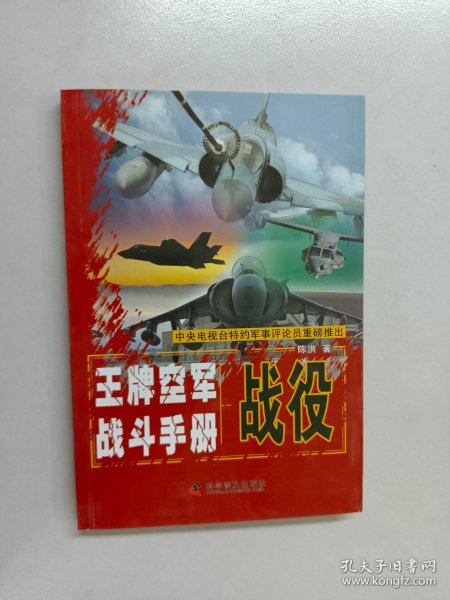 王牌空军战斗手册：战役