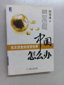 中国怎么办：当次货危机改变世界