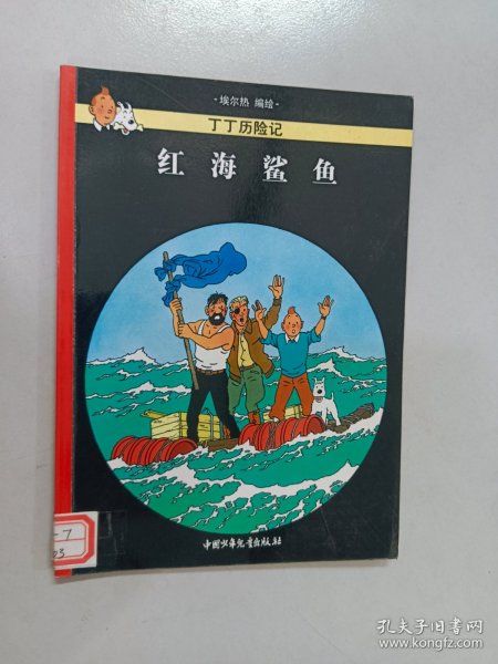 红海鲨鱼