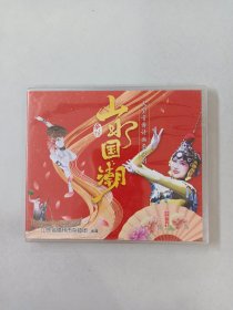 DVD ：山水国潮  大型音舞诗画杂技剧