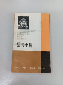 岳飞小传