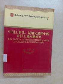 中国工业化、城镇化进程中的农村土地问题研究