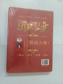 人性·团队裂变 全新未翻阅