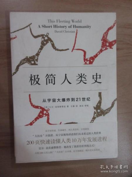 极简人类史：从宇宙大爆炸到21世纪